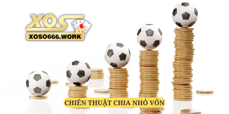 Chia nhỏ vốn để giảm thiểu rủi ro mất trắng số vốn