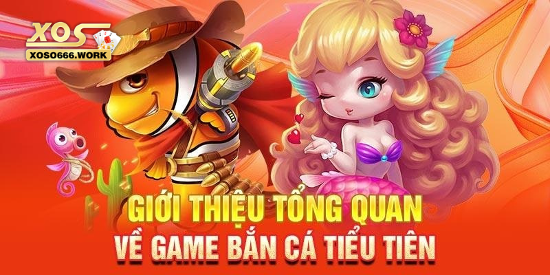 Bắn cá tiểu tiên cá và thông tin cần biết trước khi trải nghiệm