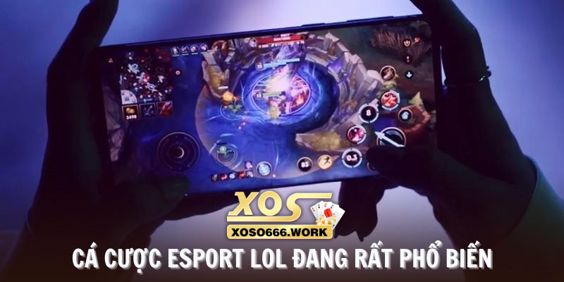 LoL luôn là lựa chọn hàng đầu trong cá cược Esport